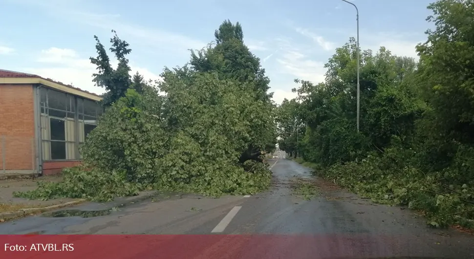 stablo nevrijeme banjaluka.webp